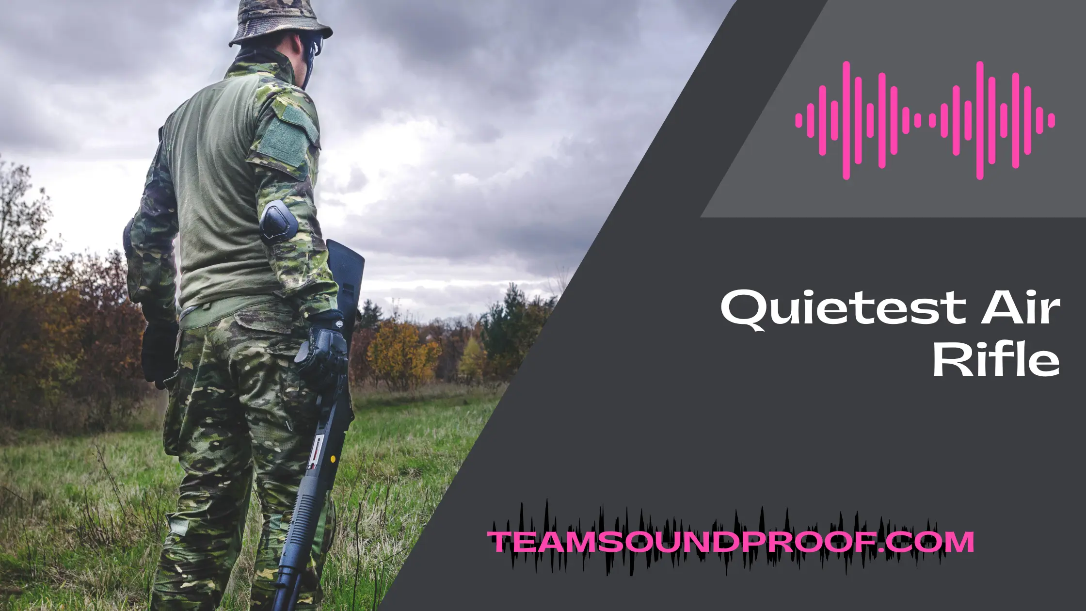 The Top 25 Quietest Air Rifles In 2023 Comprehensive vrogue.co